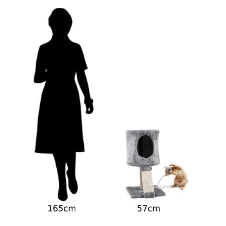 arbre à chat avec femme