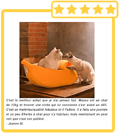 banana bed préféré