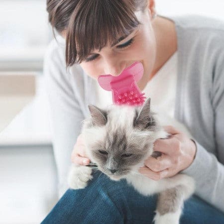 femme avec brosse langue pour chat
