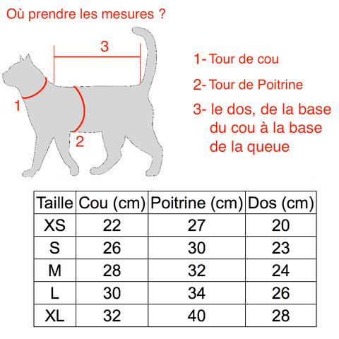 dimensions du hoodie lapin pour chat