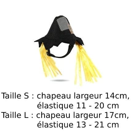 chapeau d'épouvantail pour chat