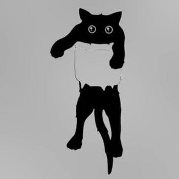 motif chat dans la poche