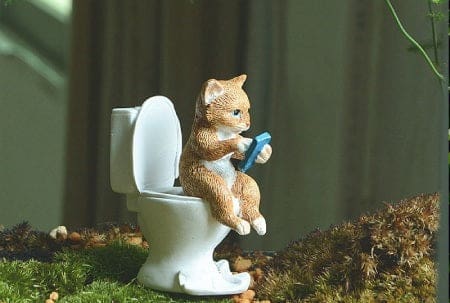 chat avec smartphone assis sur les toilettes
