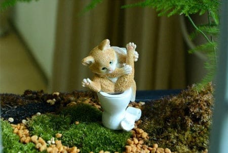 chat assis sur les toilettes